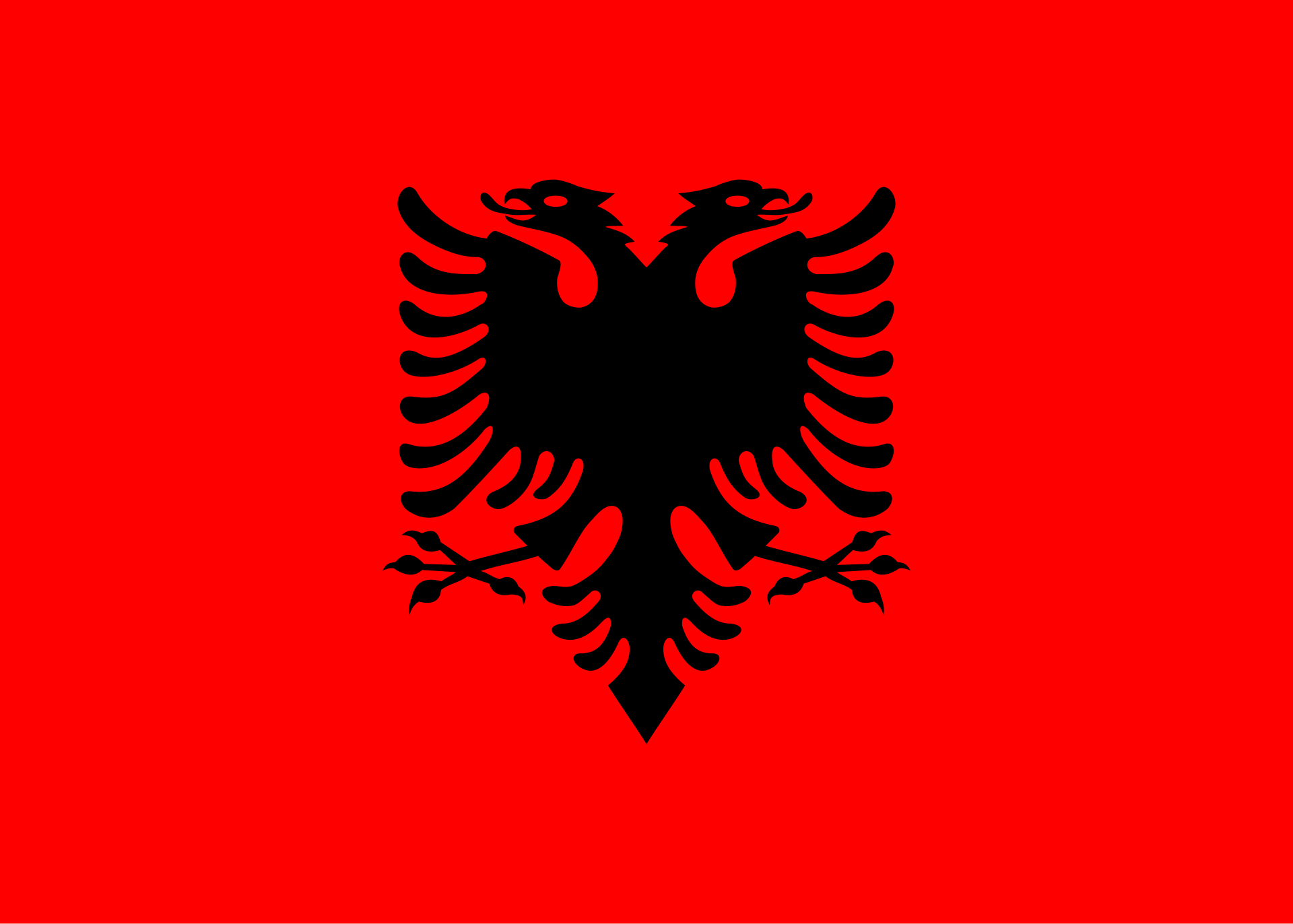 Flag of Albania - The national flag of Albania depicts a silhouetted black double-headed eagle in the center of a red background.