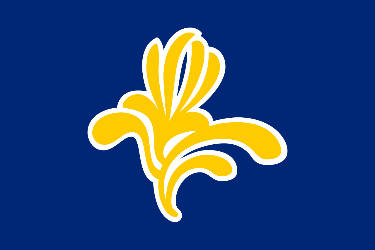 Flag of Région de Bruxelles-Capitale/ Brussels Hoofdstedelijk Gewest
