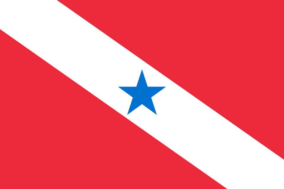 Flag of Para