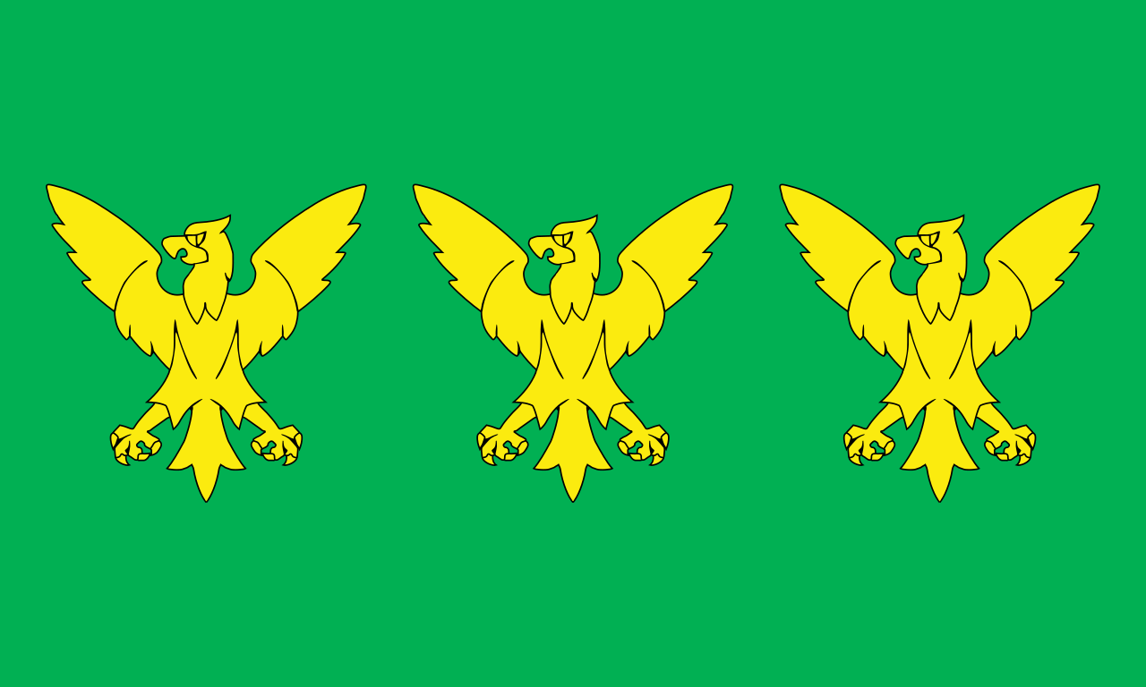 Flag of Caernarfonshire