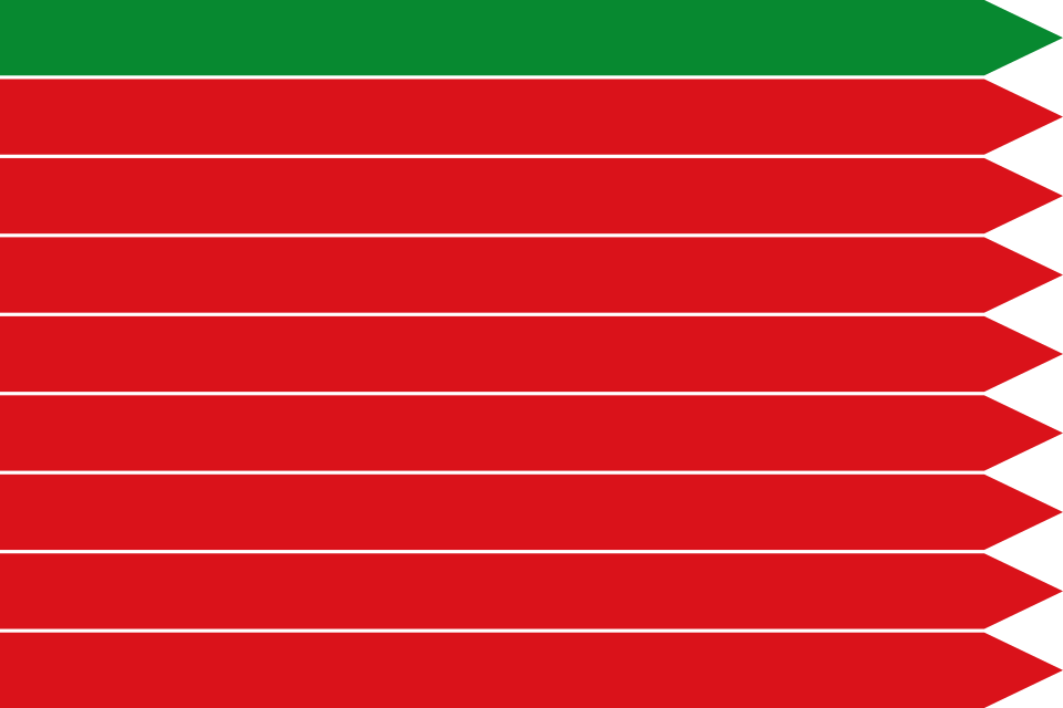 Flag of Zamora