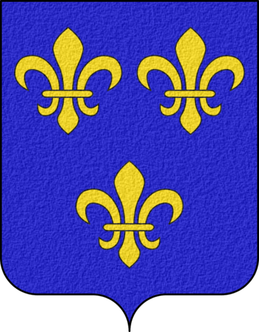 Coat of Arms of Ile-de-France - D'azur aux trois fleurs de lys d'or.
