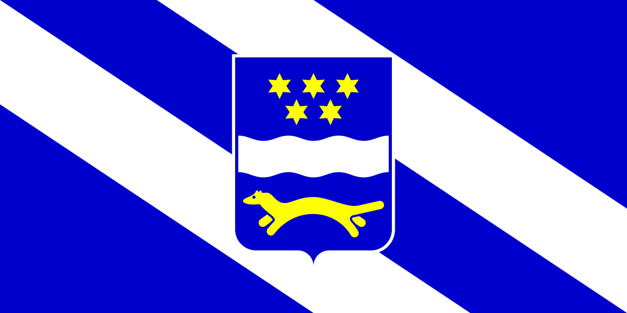 Flag of Brodsko-posavska županija