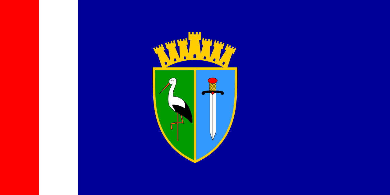 Flag of Sisačko-moslavačka županija