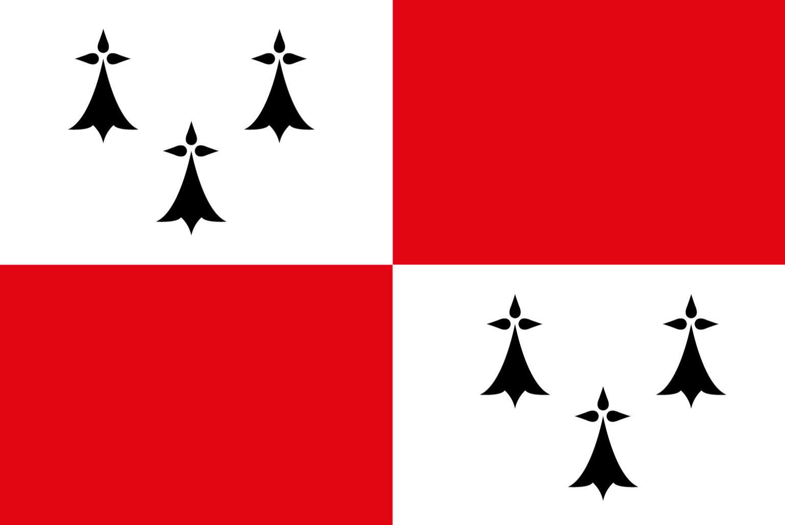 Flag of Bro-Zol