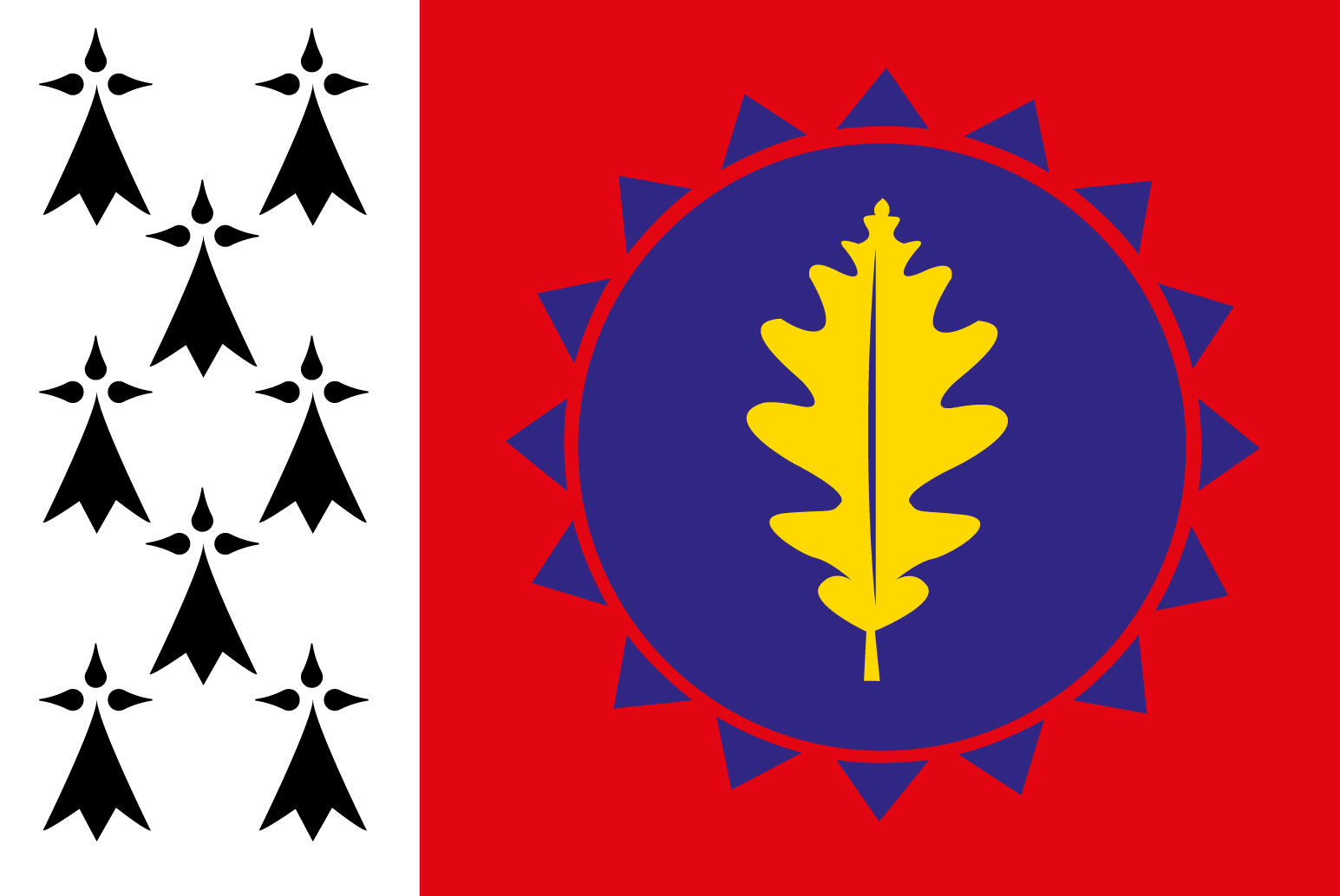 Flag of Bro Vez