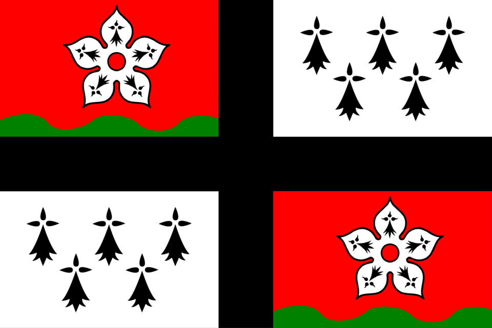 Flag of Bro Ankiniz