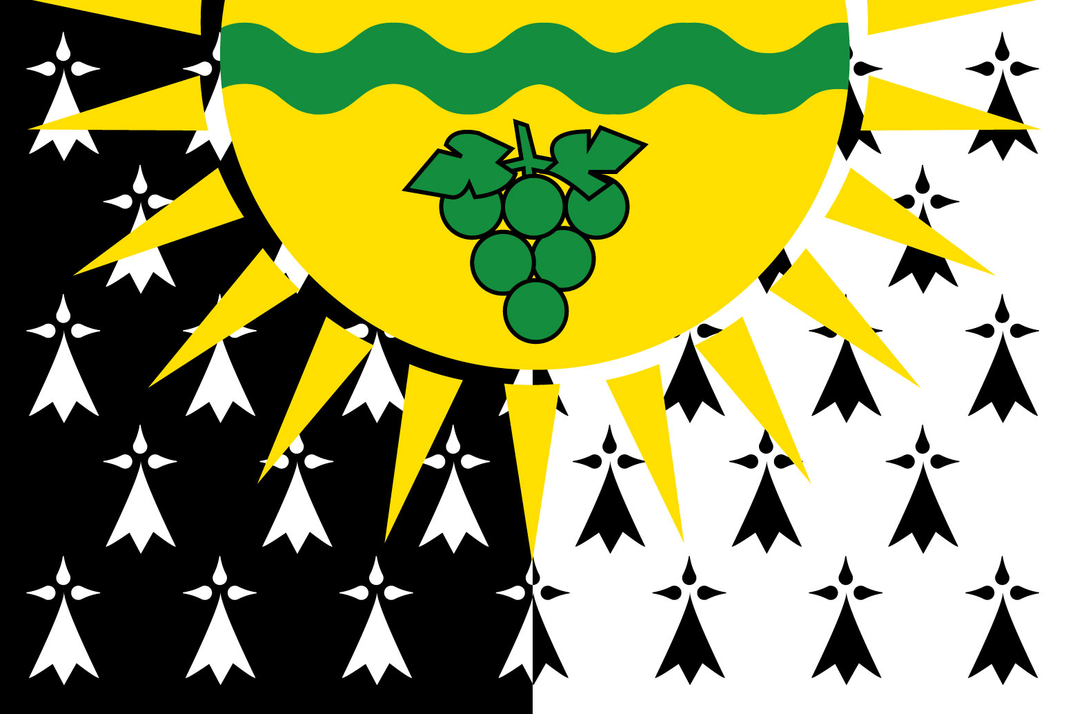 Flag of Bro Gwiniegi Naoned
