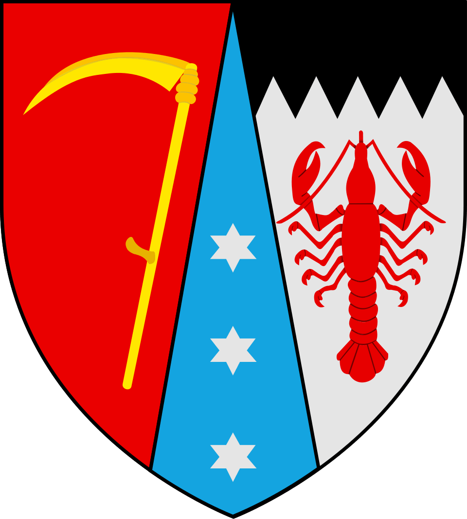 Coat of arms of Boto&scedil;ani