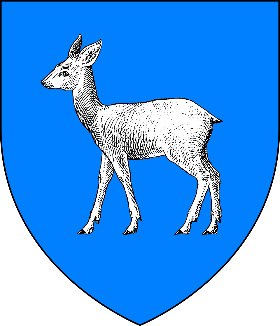 Coat of arms of D&acirc;mbovi&thorn;a