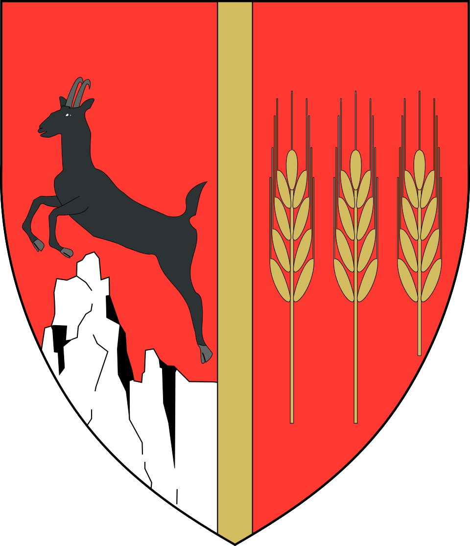 Coat of arms of Neam&thorn;