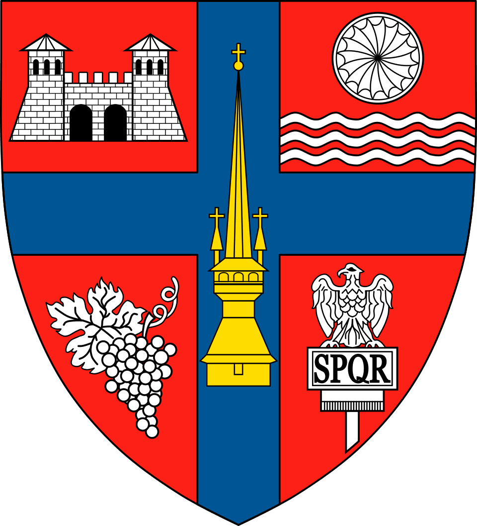 Coat of arms of S&atilde;laj