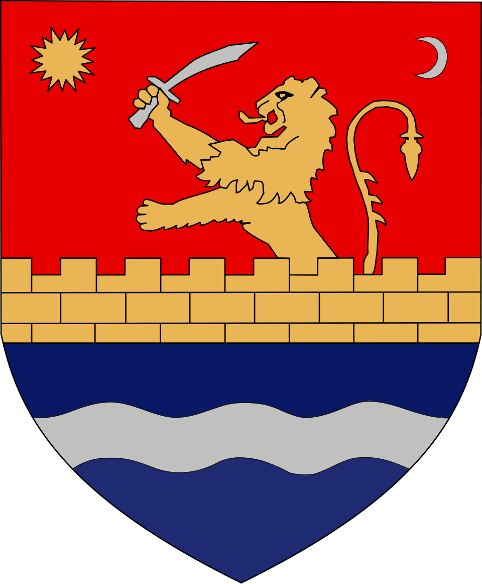 Coat of arms of Timi&scedil;