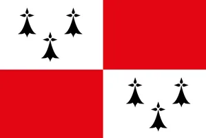 Flag of Bro-Zol