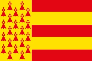 Flag of ar Vro Vigoudenn