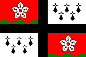 Flag of Bro Ankiniz