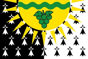 Flag of Bro Gwiniegi Naoned