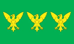 Flag of Caernarfonshire