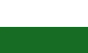 Flag of Sachsen
