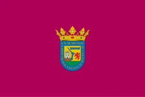 Flag of Araba/Álava