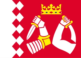 Flag of Pohjois-Karjala