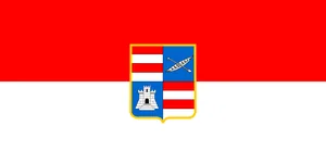 Flag of Dubrovačko-neretvanska županija