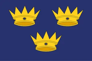 Flag of Munster