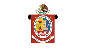 Flag of Oaxaca
