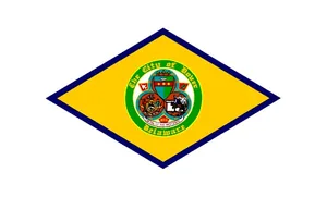 Flag of Dover