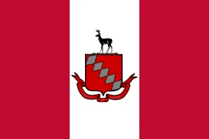 Flag (reverse) of Raleigh, North Carolina