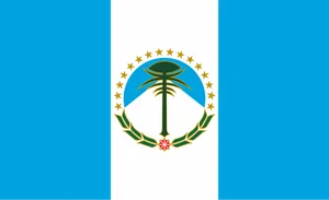 Flag of Neuquén