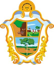 Coat of arms of Manaus